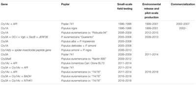 The Current Status and Development of Insect-Resistant Genetically Engineered Poplar in China